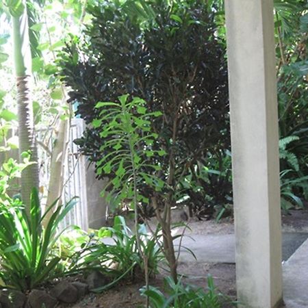 Culture House Hotel Basseterre Eksteriør billede