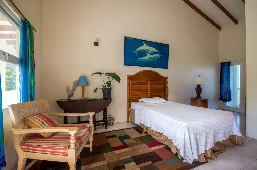 Culture House Hotel Basseterre Eksteriør billede