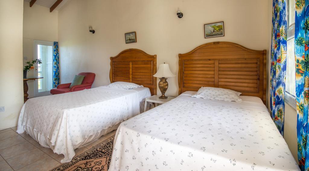 Culture House Hotel Basseterre Eksteriør billede