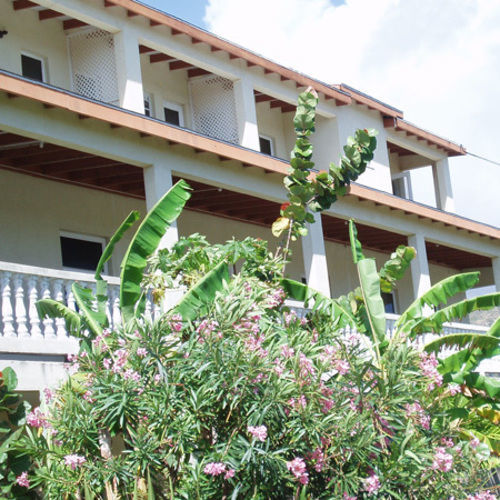 Culture House Hotel Basseterre Eksteriør billede