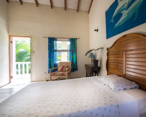 Culture House Hotel Basseterre Eksteriør billede